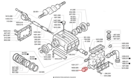 Tapón TE Ø1”1/4 RS 1605.023 para bomba P123 P93 P186
