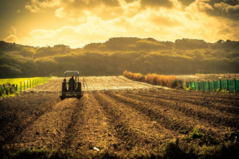 tienda de repuestos agrícolas