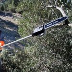 Podadora de Altura ECHO PPF 236 ES con Motor 2T - Imagen 2